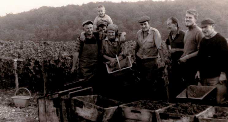 Terroir de Champagne Montgueux, Champagne Eric Therrey