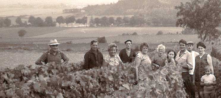 Main de vigneron, Champagne Eric Therrey, Montgeux